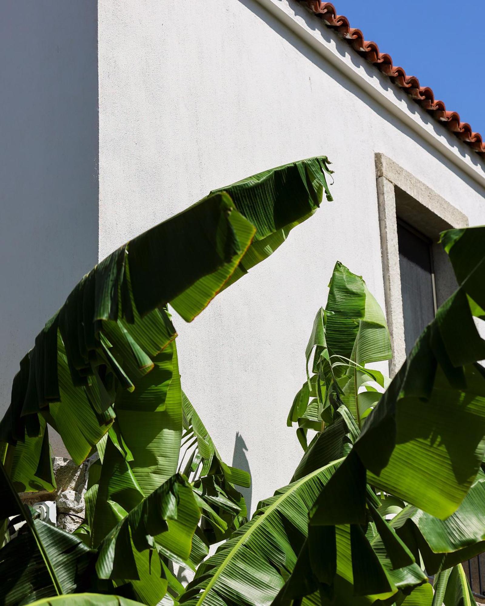 Voger Alaçatı Köyiçi Exterior foto